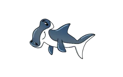 Level 7 – Shark